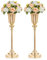 NUPTIO Blumenständer Metall Gold Vase: 2 Stück 54.6cm Hoch Blumenvase Hochzeit Ständer Trompete Vasen Metall für Goldene Hochzeit Mittelstücke Tischdeko Party Tafelaufsätze
