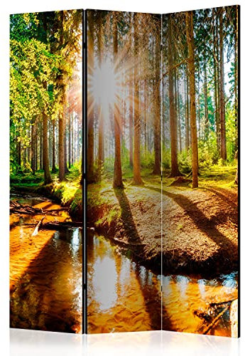 murando Raumteiler Foto Paravent Wald 135x172 cm beidseitig auf Vlies-Leinwand Bedruckt Trennwand Spanische Wand Sichtschutz Raumtrenner Design Bäume Natur Botanik Sonne c-B-0267-z-b