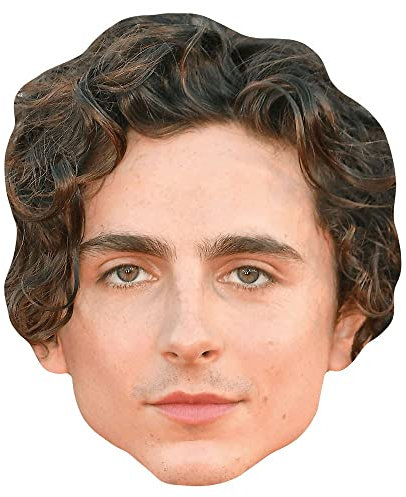 Timothée Chalamet (Curls) Maske aus Karton