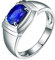 Goldring Herren, Ring aus 18 Karat Weißgold mit 1.22ct Ovaler Tansanit, Größe 62 (19.7)