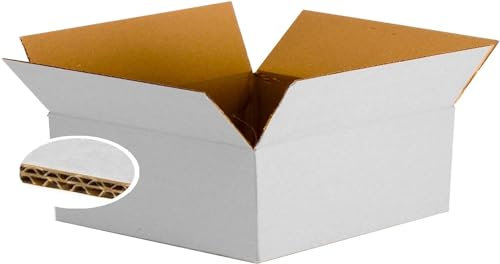 SIMPLETEK - Weiße verstärkte Kartonbox – Doppelwellig, 700 x 550 x 170 mm, robuster Versandkarton, ideale Verpackungslösung