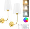 Lightess 2Pcs Battery Operated Wall Sconces Battery Powered Wall Lights For Living Room Bedroom RGB 2 Modes Dimmable LED Rechargeable Wall Lamp Touch&Remote Control Hallway Dining Room-Gold Wall Light