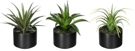 Pflanzen Kölle Kunstpflanzen 3er-Set Aloe Vera, Agave & Tillandsie, Topf-Ø 7,5 cm, Höhe ca.15cm