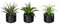 Pflanzen Kölle Kunstpflanzen 3er-Set Aloe Vera, Agave & Tillandsie, Topf-Ø 7,5 cm, Höhe ca.15cm