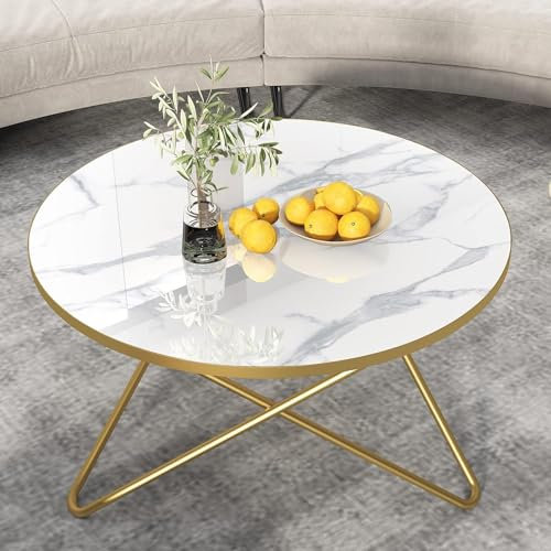 HOLTICO Tisch Beistelltisch Rund Weiß Gold,Couchtisch Sofatisch für Wohnzimmer Garten Balkon Schlafzimmer,Wohnzimmertisch Rund Modern,Pflanzentisch Outdoor mit Marmormuster