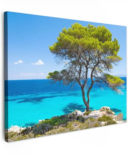 MuchoWow© Impression sur Toile Decoration Murale Peinture 40x30 cm Tableaux Decoratifs Muraux Décoration Chambre Tropical - Arbre - Nature - Vert - Mer