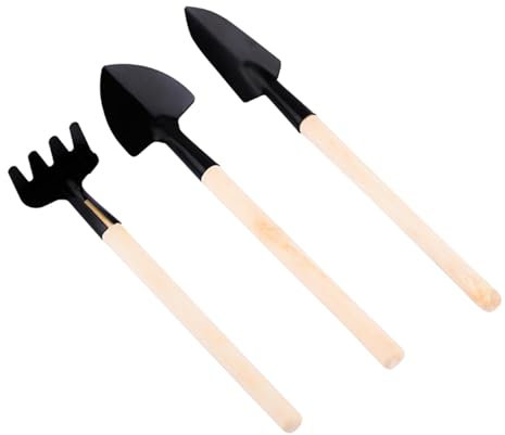 Kleines Gartenwerkzeug-Set, Sukkulenten-Werkzeugset | Terrarium-Werkzeug-Set,Garten-Pflanzgefäß-Set, Sukkulenten-Werkzeuge, Gartenschaufel-Rechen, Indoor-Bonsai-Miniatur-Setzlings-Werkzeug