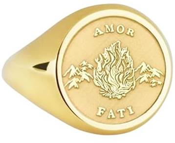 WORLD WIDE GEMS Amor Fati Siegelring | Stoizismus Liebe zum Schicksal | runder Ring für Herren | lateinischer Spruch Damen | Schmuck | 925er Sterlingsilber (Ringgröße 5–12,5) vergoldet | WW_PDR_00148