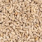 Lyra Pet® | 25 kg Sonnenblumenkerne Geschält in Futterqualität 2. Wahl | Wildvogelfutter Ganzjährig | Ideal für Jungtiere | Vogelfutter für Wildvögel | Wertvolles Streufutter | Sommer und Winter