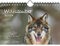 Wolfszauber DIN A5 Wandkalender für 2024 Wolf und Wölfe - Geschenkset Inhalt: 1x Kalender, 1x Weihnachts- und 1x Grußkarte (insgesamt 3 Teile)