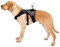 VILLCASE Kameragurt Für Hunde Verstellbares Brustgeschirr Für Action-kameras Outdoor-Schutz Für Haustiere Robustes Gepolstertes Design Für Sicheres Filmen Beim Spielen Und Schwimmen