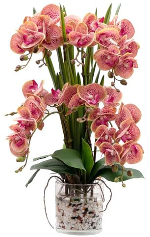 CXGS Künstliche Orchidee – fühlt sich echt an, künstliche Orchideen mit Glasvase in künstlichem Wasser – realistische künstliche Orchidee – lila Dapple Phalaenopsis Blumenarrangements Tafelaufsatz