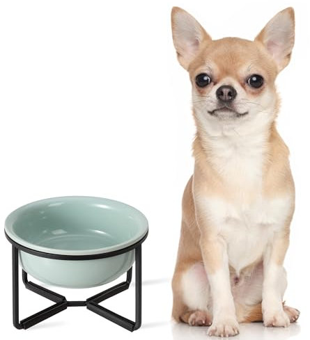 Elevated Ceramic Dog Food Bowl - Raised Dog Bowl with Non-Slip Metal Stand - Lifted Dog Dish - Small Dog Water Bowl - Dog Feeding Bowl - Ideal for Puppies and Cats - 1 Cup - 13.5 fl oz - Green