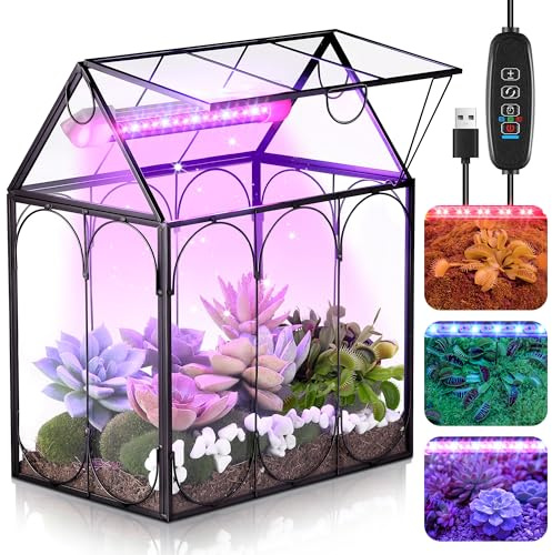 Meonum Pequeño kit de terrario de vidrio con luz de crecimiento, terrario Venus de 7.1 x 4.7 x 8.7 pulgadas con tapete absorbente, temporizador y 3 modos de luz para plantas suculentas de aire vivas