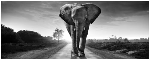 Wallario Memoboard aus Glas mit Motiv, Magnet-Tafel in 32 x 80 cm in Premium Qualität Elefant bei Sonnenaufgang in Afrika schwarzweiß
