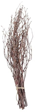 Alipis 10Stücke Künstliche Birkenzweige Trockene Äste Holzstäbe für Heimdekoration Fotografie Requisiten DIY Bastelprojekte und Kreative Dekoideen