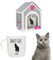 Splosh Precious Pets Crazy Cat Lovers Lady Mug | Personalised Ceramic Mug | Customised Coffee Cup | Tea Cup Gifts for Women | Presents for Women Cute Gifts