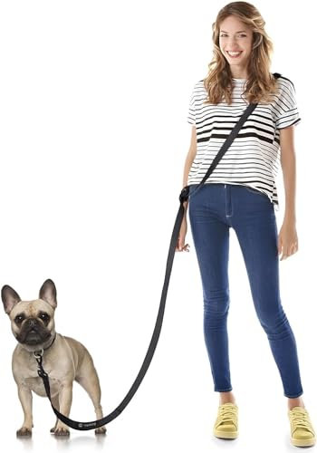 Laisse Chien Mains Libres, Max 250 cm Laisse Chien de Course, Ceinture Réglable pour la Marche l'Entraînement la Randonnée pour Chiens jusqu'à 50kg