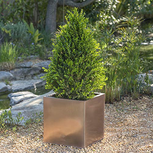 Primrose Frost and Rust-Resistant Outdoor Zinc Square Cube Planter in a Copper Finish Large 40cm (15.7in)