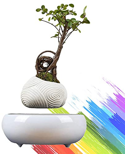 ZhiLianZhao Rotating Air Bonsai Flower Pot, Magnetschwebebahn Suspension Blumentopf, mit Leiser Rotation, für Home Desk Dekor Und Geschenke,A