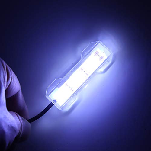 Hztyyier Mini LED Aquarium Licht, Beleuchtung, Pflanzenlicht, Dekoration Weiche Lampe