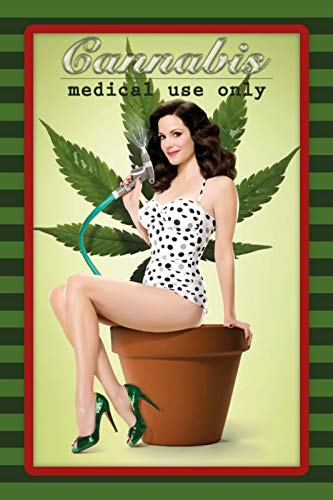 Generisch Blechschild 20x30 Cannabis Pin up Girl Hanf Gras Weed Joint Pflanze