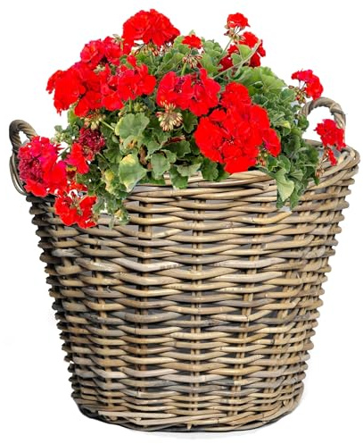 Annastore Pflanzkorb aus Weide Blumenkorb - Ø 42 cm - H 31 cm (helle Folie) | Mit Henkel und Innenfolie - Weidenkorb, Korb aus Weide, Pflanzgefäß