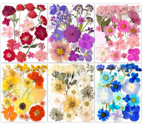 YoothBro 221 Stück echte, getrocknete, gepresste Blumen aus der Natur für die Kunstharzherstellung, trockengepresste Blumen mit transparentem Schmetterlings-Aufkleber-Set DIY-Schmuck Eternity Summer