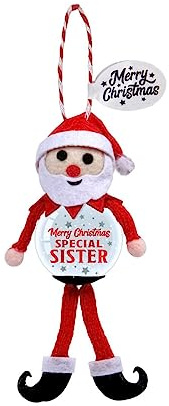 Personalised Snowglobe tree decoration (Special Sister)