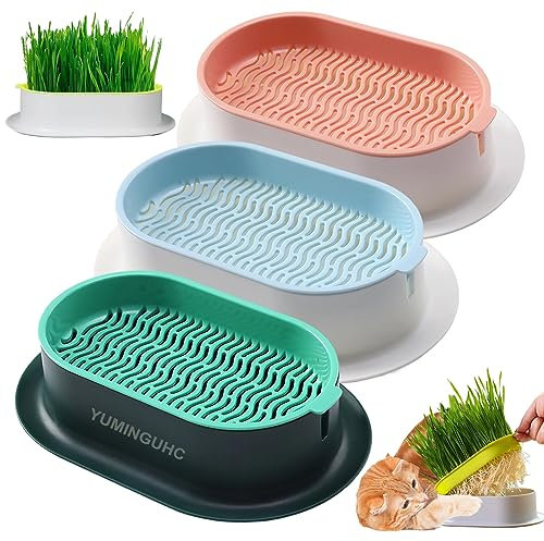 YUMINGUHC Vaso idroponico per erba gatta per gatti, erba gatta e semi di grano, kit per la coltivazione di erba per gatti, per interni, senza suolo (H)