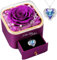 Rosa Stabilizzata Eterna, Vera Rosa Eterna con Collana Regali per Lei, Festa Della Mamma Idee Regalo, Ti Amo per Sempre Regalo, Idee Regalo Donna, Regalo Anniversario Matrimonio (Viola)