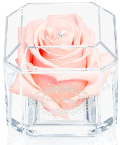 Eternal Petals A Real Rose That Lasts A Year - White Gold Solo with Multicolor Swarovski Crystal (Blush)