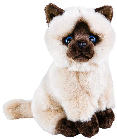 Kuscheltier Katze Siamkatze Sally beige braun sitzend 30 cm Plüschtier Teddys Rothenburg by Uni-Toys