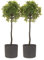 LIVIVO 22CM Round Plastic Flowerpot Plant Pot with Speckled Sandstone Effect for Indoor & Outdoor use including Kitchen Living Room Hallway Garden Patio Entrance Balcony Window - SET OF 2 (Grey)
