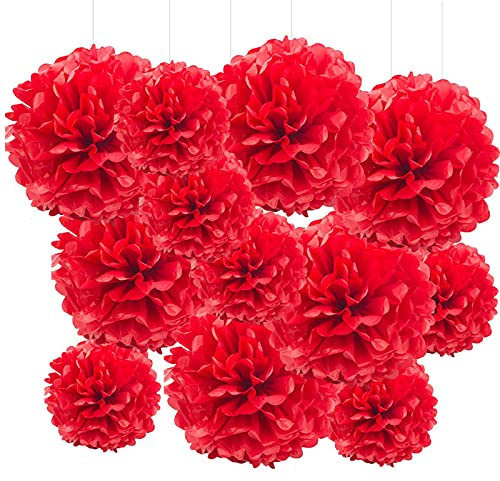 GAKA FAVOR Red Tissue Hanging Paper Pom Poms, Flower Ball for Wedding Birthday Party Decoration (6Pcs 12in & 6Pcs 10in)