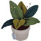 Hobby Gift Nadelkissen aus Stoff, 15 x 15 x 12 cm, Blumentopf
