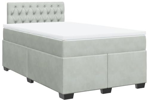 vidaXL Boxspringbett, Polsterbett Bett mit LED Matratze Kopfteil, Bettgestell mit Lattenrost, Doppelbett für Schlafzimmer, Hellgrau 120x190cm Samt