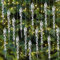 24 Stück Eiszapfen Deko Eiszapfen Weihnachtsbaum Zapfen Deko Weihnachten Eiszapfen Anhänger Christbaumschmuck Kristall Eiszapfen Deko Acryl Eiszapfen Schneeflocke Für Weihnachtsbaum Dekorationen