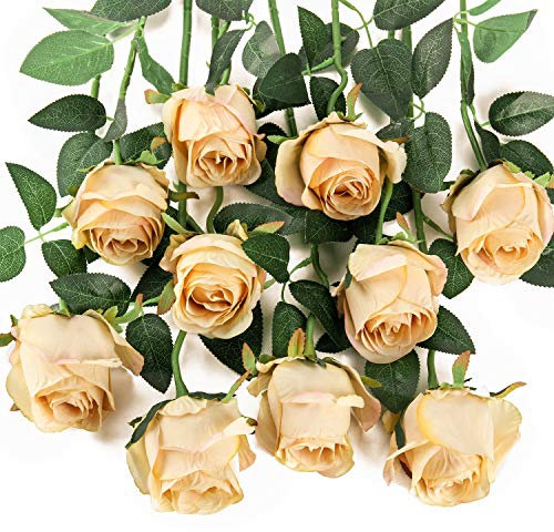 Flojery 10pcs Künstliche Rose Blumen Langer Stiel Gefälschte Seidenrosen für DIY Hochzeitsstrauß Tisch Herzstück Wohnkultur (Champagner)