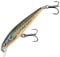 Major Fish Raptor Barsch Wobbler Flachläufer 7 cm Forelle Minnow Hecht UV aktiv