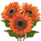 Briful Künstliche Sonnenblumen Groß Kunstblumen Wie Echt Dekorative Seidenblumen Kunstpflanzen Sunflowers für Hochzeit Party Tischdeko Dekoration 3 Stücke