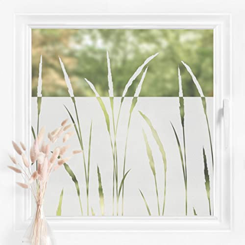 Bilderwelten Fensterfolie Sichtschutz Schilf Gräser 80 x 80 cm Milchglasfolie Sichtschutzfolie Fenster Folie Blickdicht Anti-UV Statisch Haftend Quadrat
