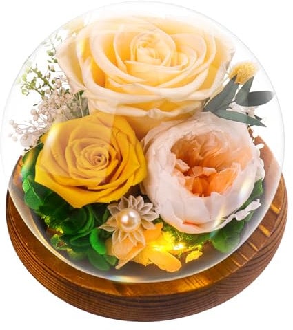 Touloube Regalo per la Regina Della Casa - Rosa Stabilizzata Vera Regalo per la Festa Della Mamma, Avanzate Regalo Donna, Eterna Fiore Bella e la Bestia con Luci LED, Regalo Rosa Moglie Mamma Nonna