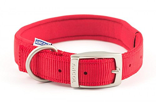 Ancol Padded Nylon Buckle Collar (39-48cm) (Red)