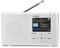 Reflexion TRA23DAB/WH, Tragbares UKW Radio mit DAB/DAB+ (16 Watt) Farbdisplayanzeige, Netz- und Batteriebetrieb, 40 Senderspeicherplätze, Schwarz