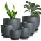 Lighterday 25/23/20/18/16/12CM Plant Pots Indoor 6 Pcs Flower Pot Large Plant Pots Indoor Outdoor Plastic Plant Pot with Drainage Holes and Tray for House Plant Flower (Green)