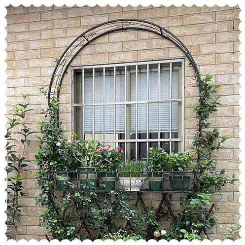 HCZION Retro Rosenbögen 150cm Wandmontage Fenster Torbogen Für Kletterpflanzen, Metall Rankhilfe Rankgitter, Halbrunder Gartenbogen Für Eingänge/Balkone (Size : 150cm/5ft)