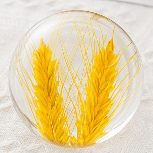 Wttagkl® Briefbeschwerer Löwenzahn, EIN Traumball. Kristall Wunschkugel. Einzigartiger Briefbeschwerer aus Löwenzahn, 09 * 9cm