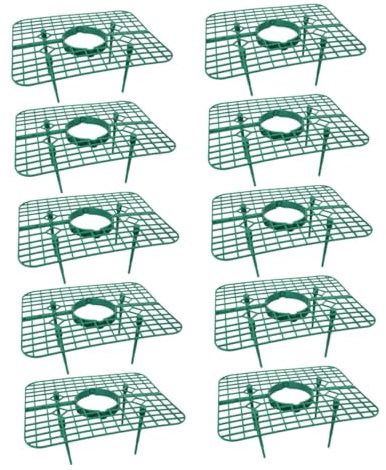 BESPORTBLE Treillis Grimpant pour Fraises 10 Pièces Supports à Fraises Support à Légumes pour Balcon Cadre de Soutien Et Élégant pour La Croissance