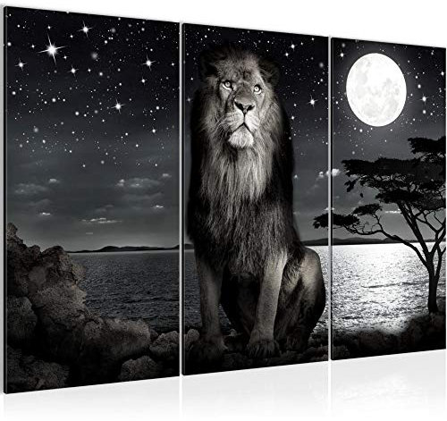 Runa Art Wandbilder Afrika Löwe Bild XXL Wohnzimmer Schlafzimmer Schwarz Weiss Savanne 120 x 80 cm 3 Teilig 022931c